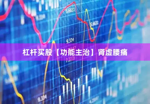 杠杆买股【功能主治】肾虚腰痛