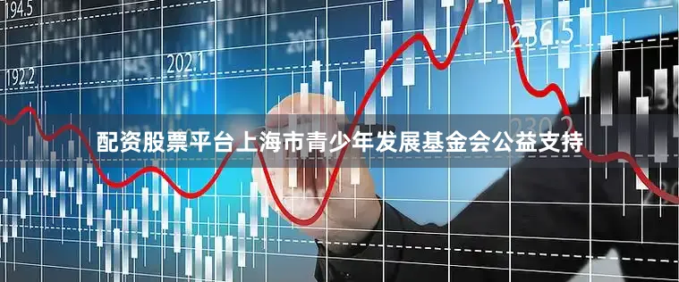 配资股票平台上海市青少年发展基金会公益支持