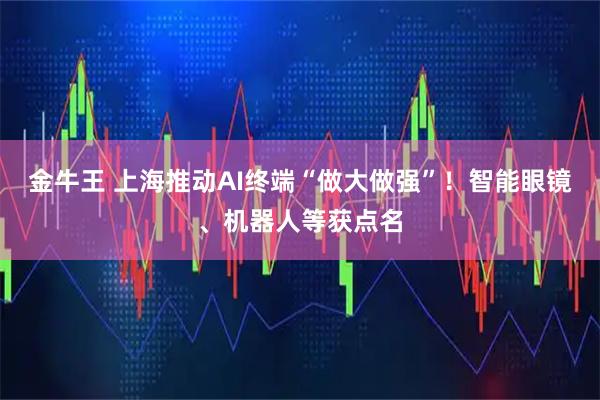 金牛王 上海推动AI终端“做大做强”！智能眼镜、机器人等获点名