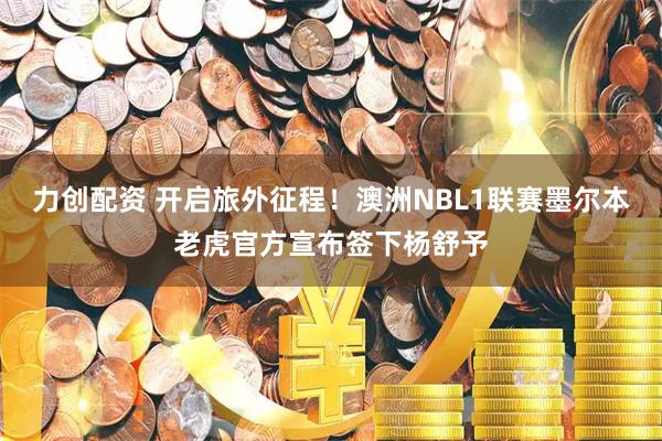 力创配资 开启旅外征程！澳洲NBL1联赛墨尔本老虎官方宣布签下杨舒予