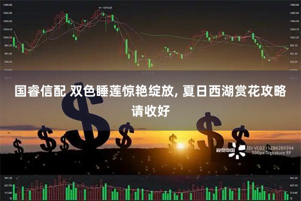 国睿信配 双色睡莲惊艳绽放, 夏日西湖赏花攻略请收好