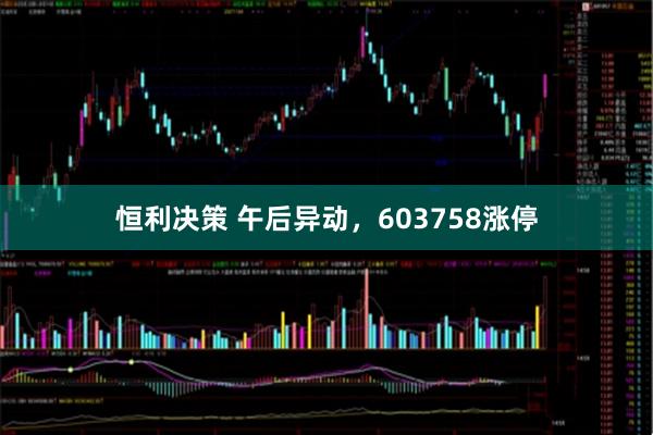 恒利决策 午后异动，603758涨停