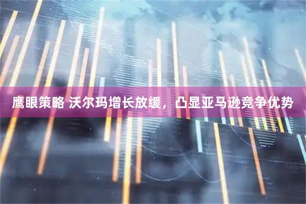 鹰眼策略 沃尔玛增长放缓，凸显亚马逊竞争优势